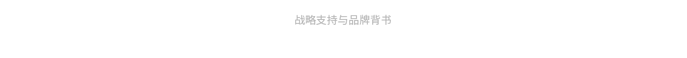 战略支持与品牌背书